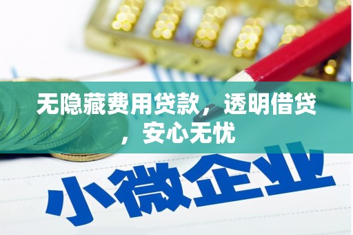 晋宁无隐藏费用贷款，透明借贷，安心无忧