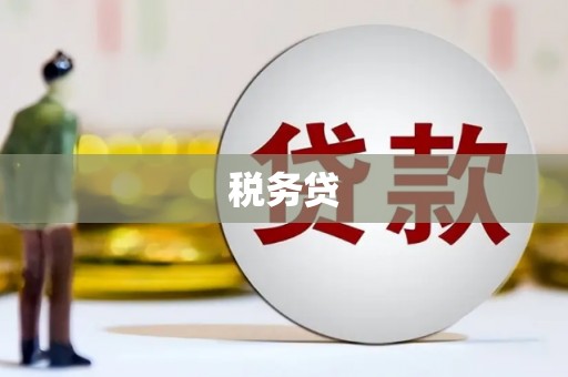 晋宁税务贷