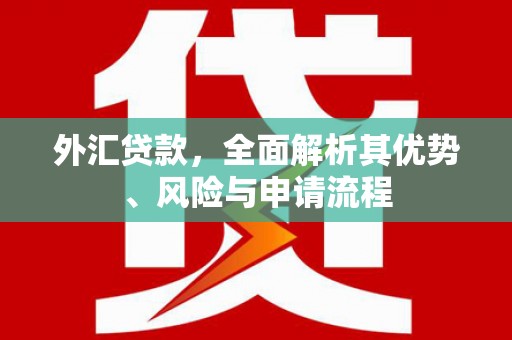 晋宁外汇贷款，全面解析其优势、风险与申请流程