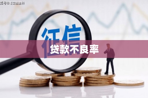 晋宁贷款不良率