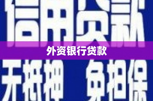 晋宁外资银行贷款