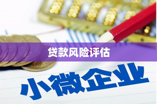 晋宁贷款风险评估