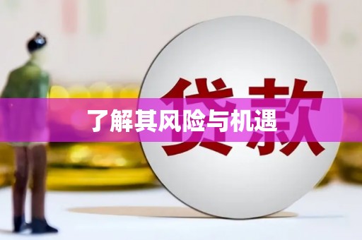 晋宁了解其风险与机遇