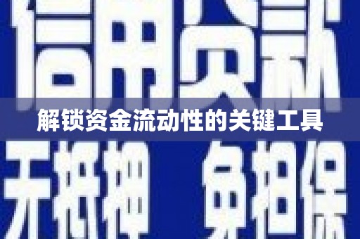 晋宁解锁资金流动性的关键工具