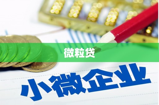 晋宁微粒贷
