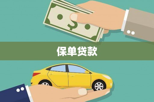 晋宁保单贷款