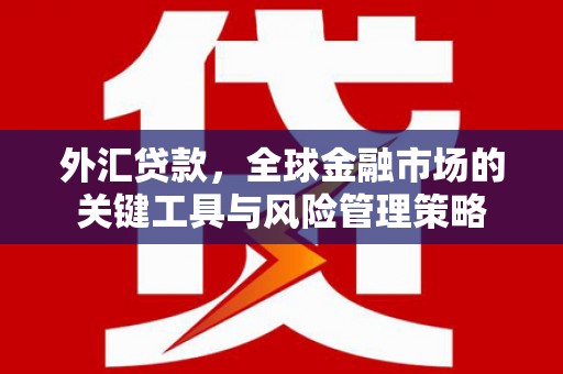 晋宁外汇贷款，全球金融市场的关键工具与风险管理策略