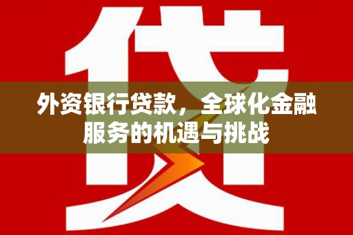 晋宁外资银行贷款，全球化金融服务的机遇与挑战