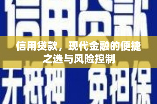 晋宁信用贷款，现代金融的便捷之选与风险控制
