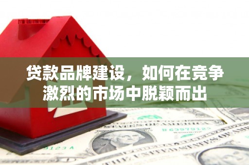 晋宁贷款品牌建设，如何在竞争激烈的市场中脱颖而出