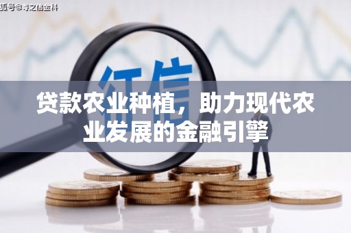 晋宁贷款农业种植，助力现代农业发展的金融引擎