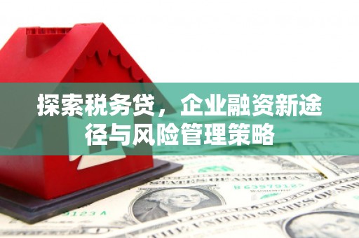 晋宁探索税务贷，企业融资新途径与风险管理策略