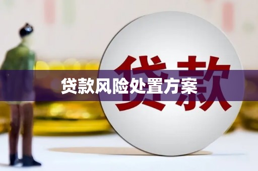 晋宁贷款风险处置方案