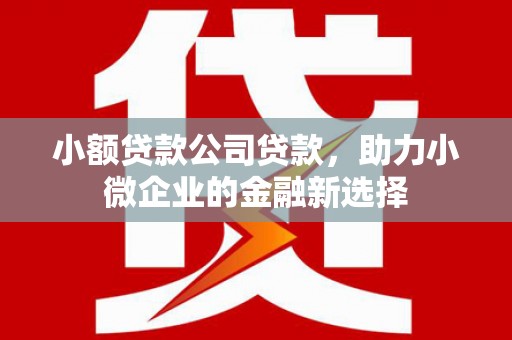 晋宁小额贷款公司贷款，助力小微企业的金融新选择