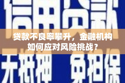 晋宁贷款不良率攀升，金融机构如何应对风险挑战？