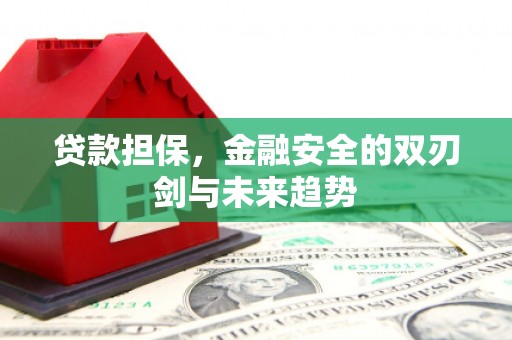 晋宁贷款担保，金融安全的双刃剑与未来趋势