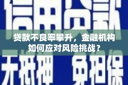 晋宁贷款不良率攀升，金融机构如何应对风险挑战？