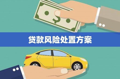 晋宁贷款风险处置方案