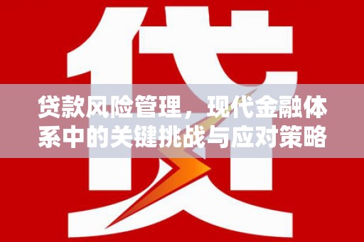 晋宁贷款风险管理，现代金融体系中的关键挑战与应对策略