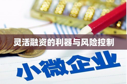 晋宁灵活融资的利器与风险控制