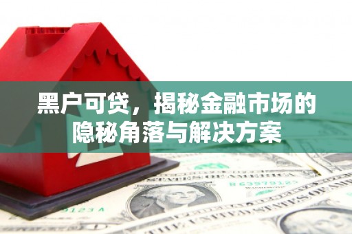 晋宁黑户可贷，揭秘金融市场的隐秘角落与解决方案