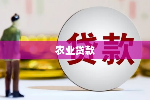 晋宁农业贷款