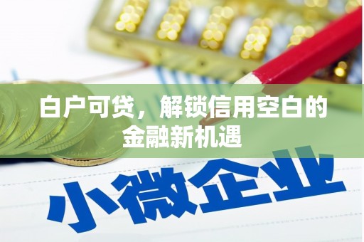 晋宁白户可贷，解锁信用空白的金融新机遇