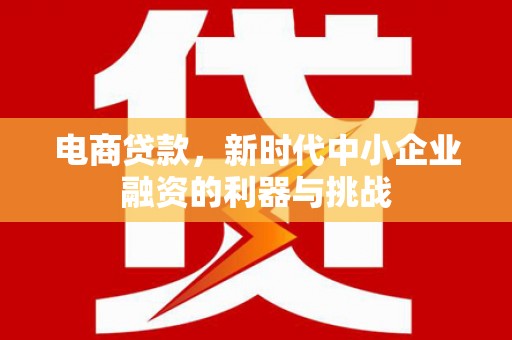 晋宁电商贷款，新时代中小企业融资的利器与挑战