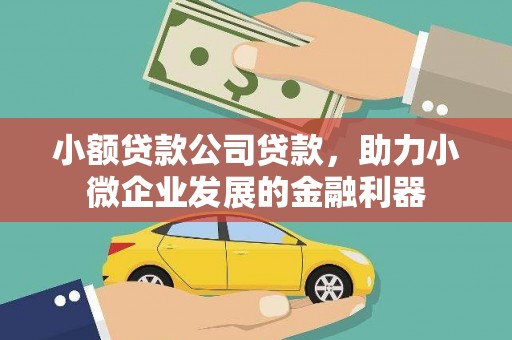 晋宁小额贷款公司贷款，助力小微企业发展的金融利器
