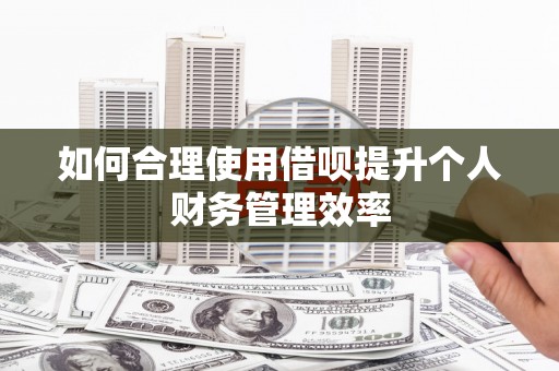 晋宁如何合理使用借呗提升个人财务管理效率