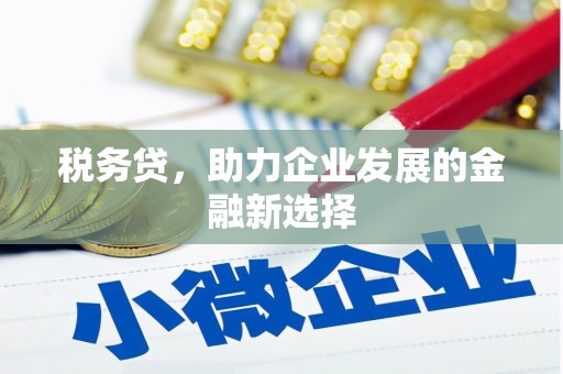 晋宁税务贷，助力企业发展的金融新选择