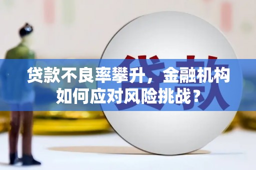 晋宁贷款不良率攀升，金融机构如何应对风险挑战？