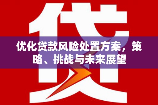 晋宁优化贷款风险处置方案，策略、挑战与未来展望