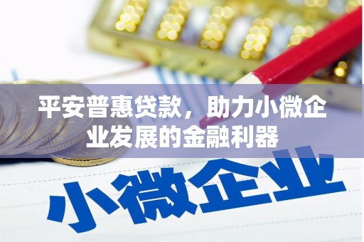 晋宁平安普惠贷款，助力小微企业发展的金融利器