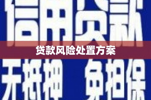 晋宁贷款风险处置方案