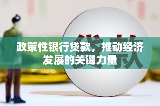 晋宁政策性银行贷款，推动经济发展的关键力量