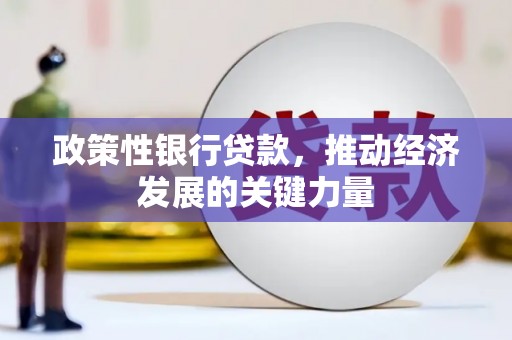 晋宁政策性银行贷款，推动经济发展的关键力量