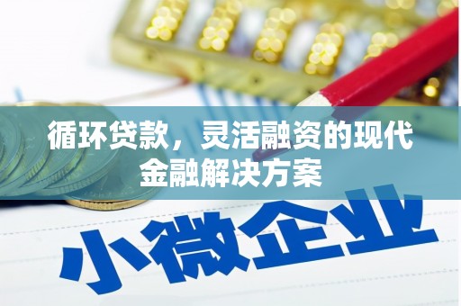 晋宁循环贷款，灵活融资的现代金融解决方案