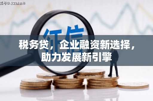 晋宁税务贷，企业融资新选择，助力发展新引擎