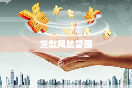 晋宁贷款风险管理