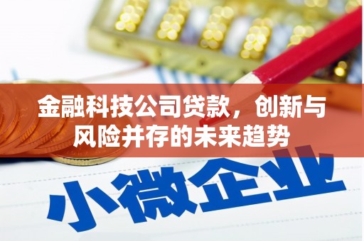 晋宁金融科技公司贷款，创新与风险并存的未来趋势