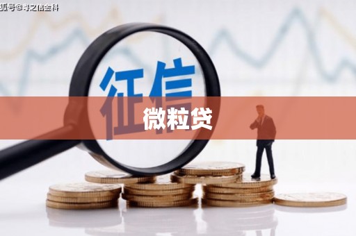 晋宁微粒贷