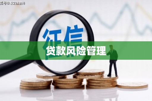 晋宁贷款风险管理