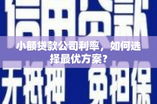 晋宁小额贷款公司利率，如何选择最优方案？