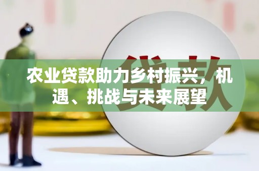 晋宁农业贷款助力乡村振兴，机遇、挑战与未来展望