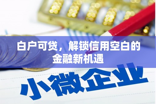 晋宁白户可贷，解锁信用空白的金融新机遇