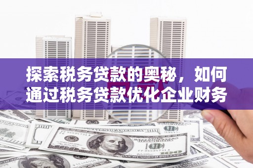 晋宁探索税务贷款的奥秘，如何通过税务贷款优化企业财务