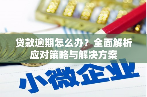 晋宁贷款逾期怎么办？全面解析应对策略与解决方案
