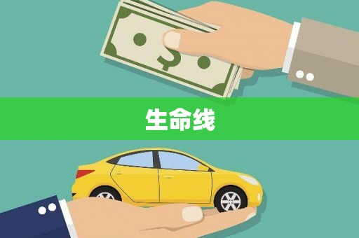 晋宁生命线