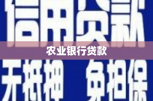 晋宁农业银行贷款